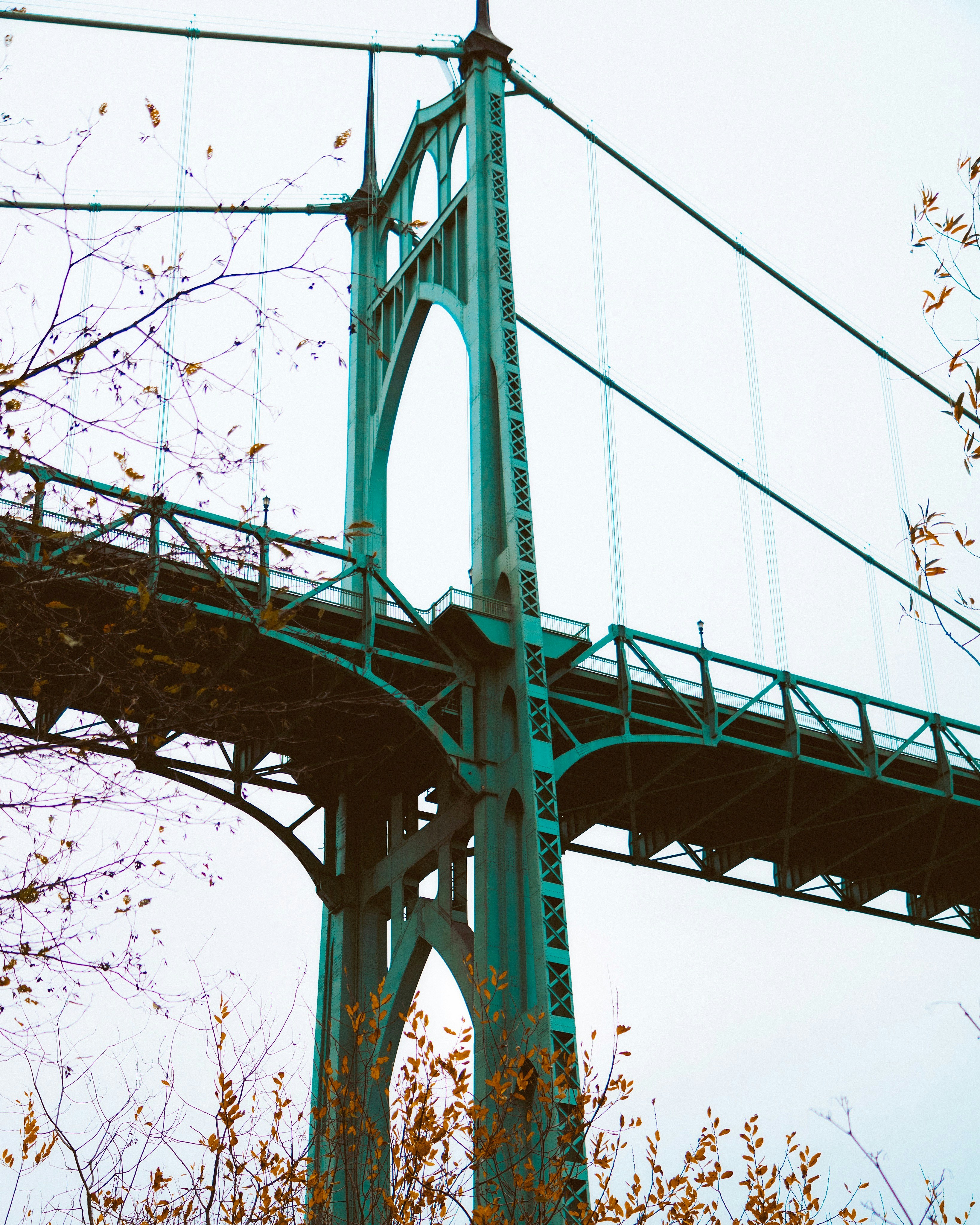 alt text = debt collection agency in portalnd oregon + collections for small business