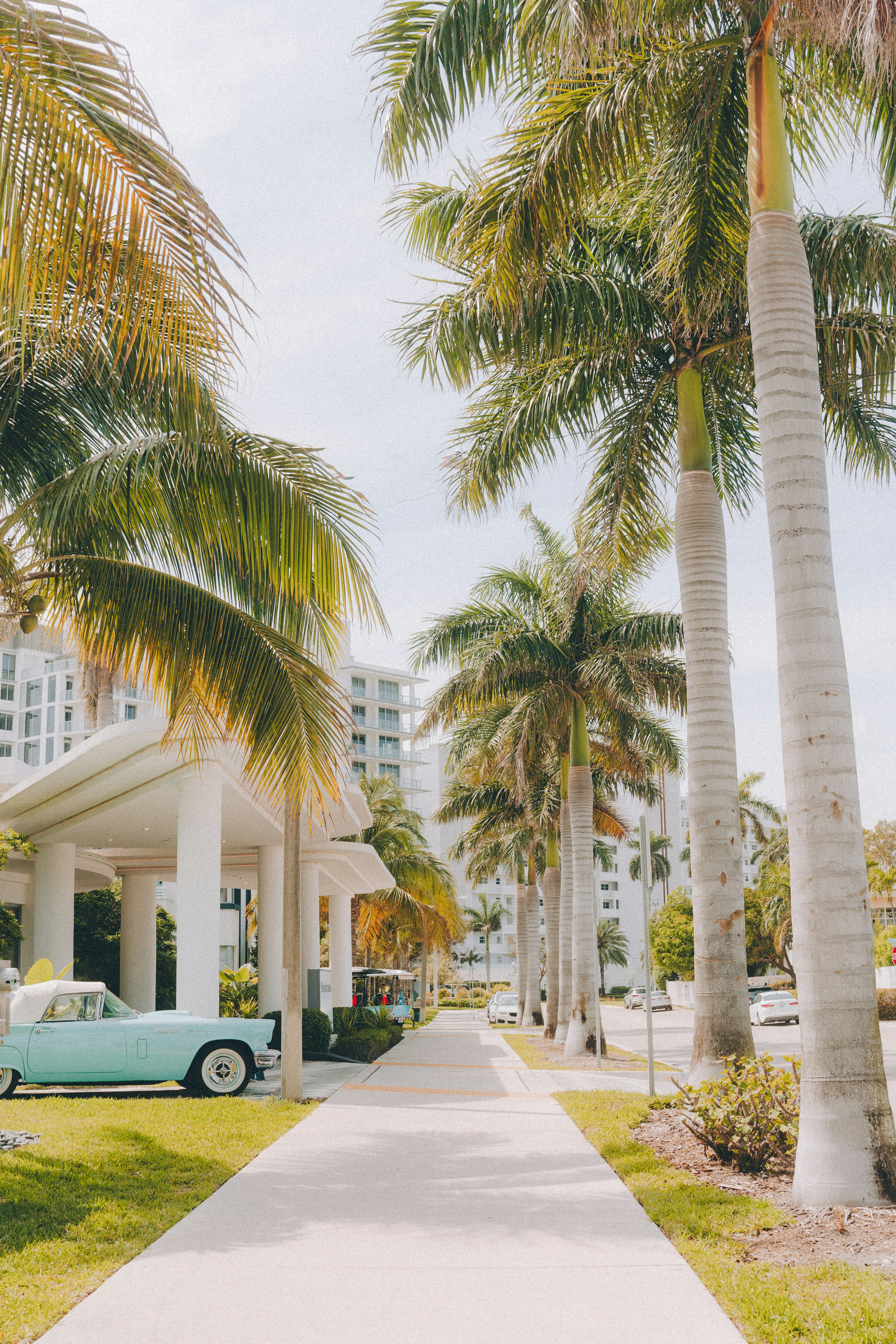 alt text = debt collection agency in fort lauderdale, fl + debt collections fl + debt collectors fort lauderdale + debt collections fort meyers +